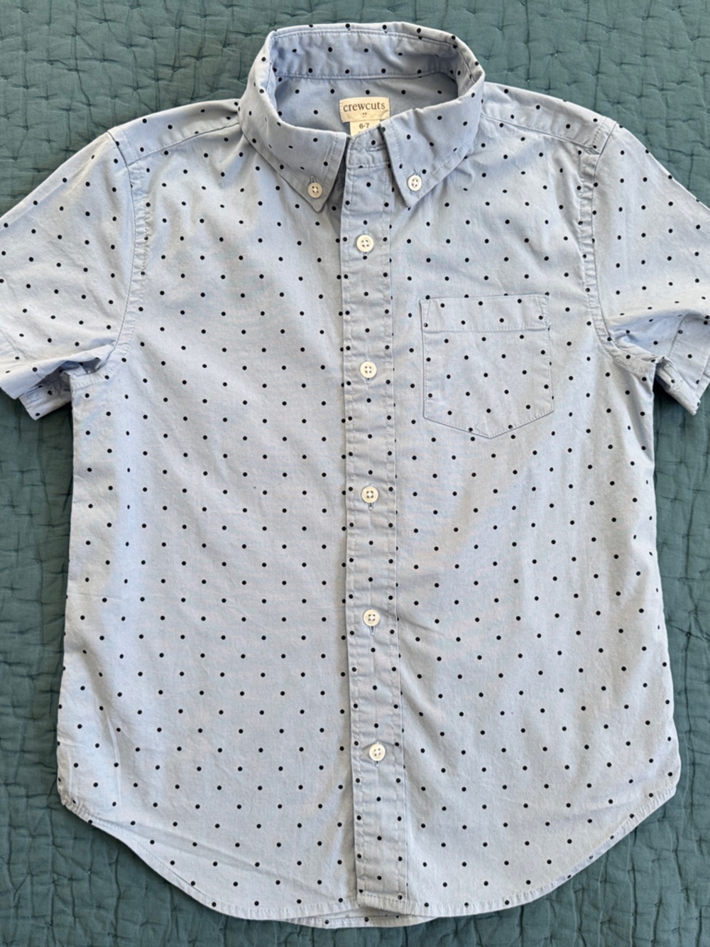 Crewcuts Light Blue Short-Sleeve Button-Down with Dots